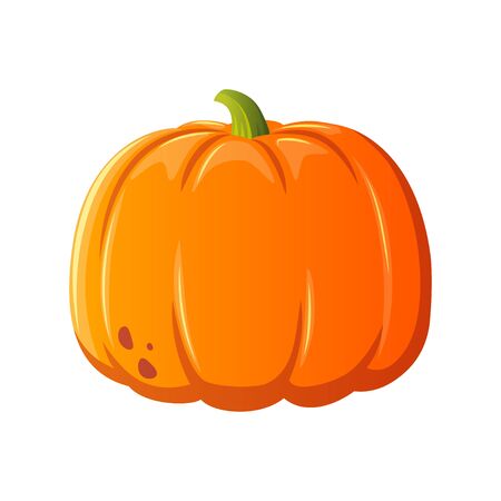 Pumpkin vector icon. Cartoon style design. White background.のイラスト素材