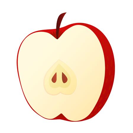 Half Red apple vector illustration. Flat style. Cartoonのイラスト素材