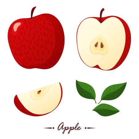 Red apple vector illustration. Flat style. Cartoonのイラスト素材