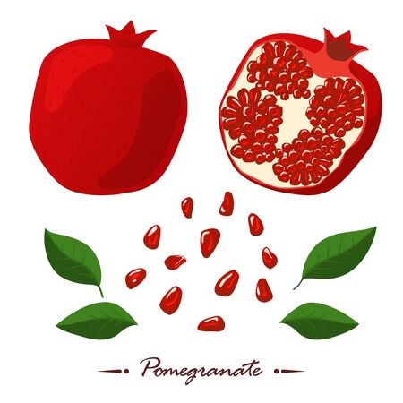 Red pomegranates and seeds. Isolated white background. Cutting pomegranate. Fresh pomegranateのイラスト素材