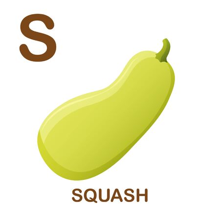 Squash icon with letter S. Cartoon style object. Vector Illustration.のイラスト素材
