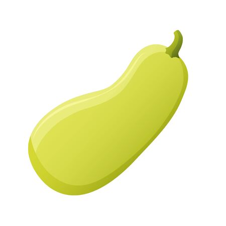 Squash icon. Cartoon style object. Vector Illustration.のイラスト素材
