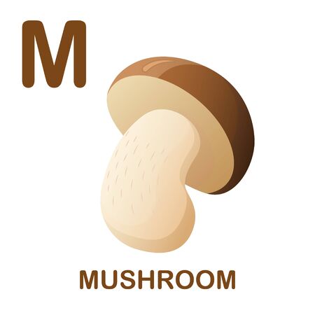 Mushroom vector illustration. Illustration for alphabet on white background. Icon with letter M. Cartoon style.のイラスト素材