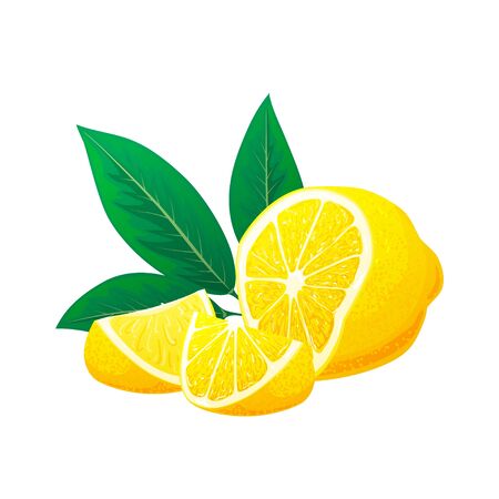 Lemon, slices of lemon with leaves. Vector. Logo concept. Hand drawn vector illustrationのイラスト素材