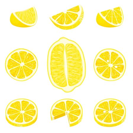 Set of whole, cut in half, sliced on pieces fresh lemons and lemon peel. Hand drawn vector illustration isolated on white backgroundのイラスト素材