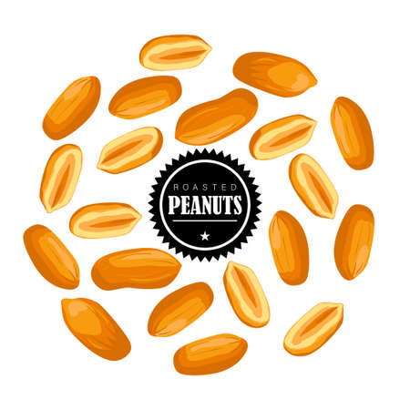 Roasted Peanut nut seed. Peanuts seamless pattern.のイラスト素材