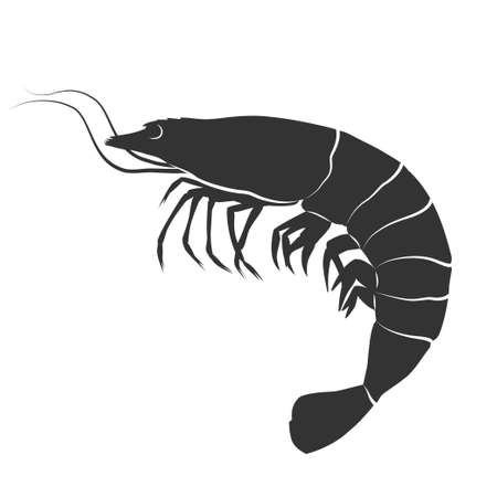 Shrimp icon. Vector concept illustration for design.のイラスト素材