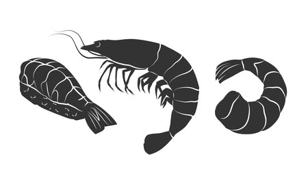 Shrimp icon. Vector concept illustration for design.のイラスト素材