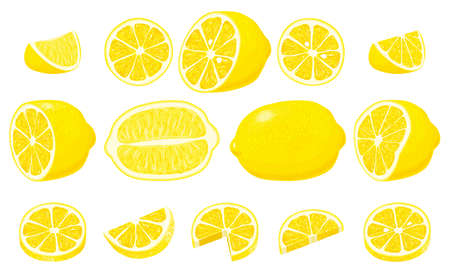 Big Set of whole, cut in half, sliced on pieces fresh lemons and lemon peel. Hand drawn vector illustration isolated on white backgroundのイラスト素材