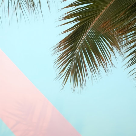 Palm tree leaf on pastel pink and blue background. Summer conceptの写真素材