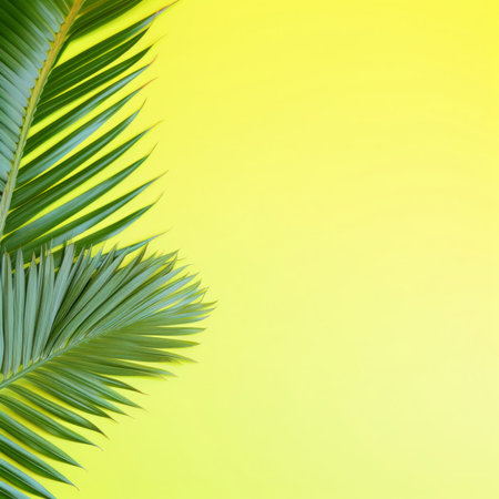 Green palm leaves on a yellow background. Copy space for text.の写真素材