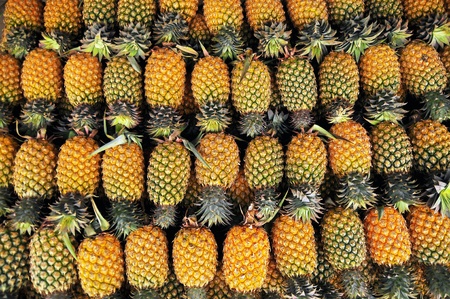 pineappleの写真素材