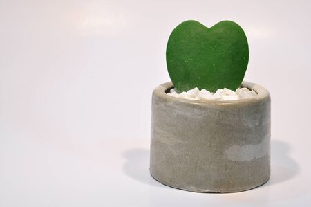 couple abstract love treeの写真素材