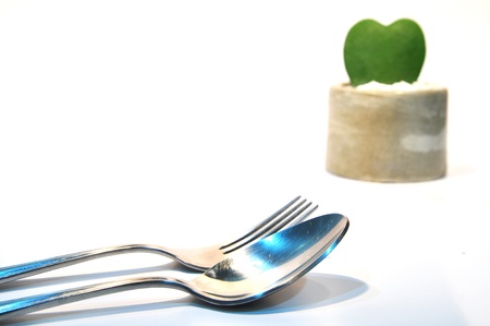 couple abstract love treeの写真素材