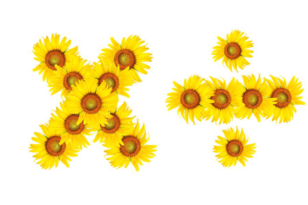 sunflower multiply sign on white background