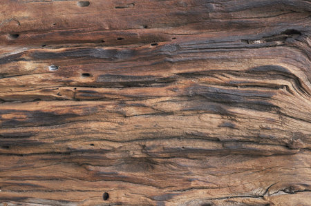 wood background texture