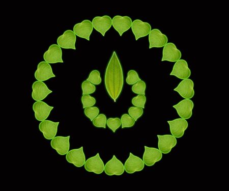 power on sign by green leafの写真素材