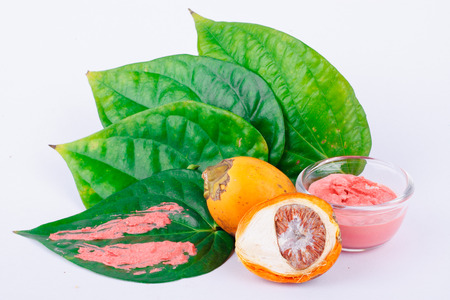 Chewing betel nut is very popular in the ASEANの写真素材