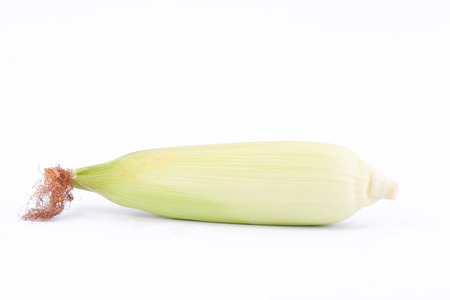 ear of  sweet corn on cobs kernels or grains of ripe corn on white background  vegetable isolatedの写真素材
