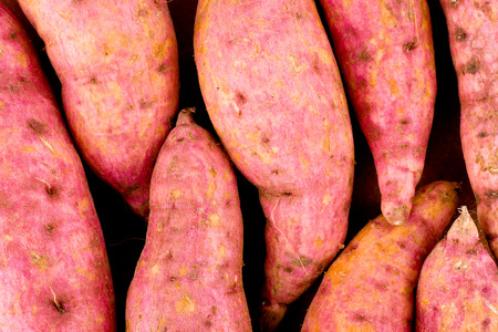 organic orange sweet potato yam  on white background healthy fruit food isolatedの写真素材