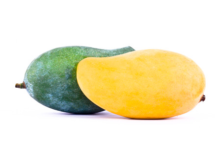 yellow ripe mango and  green mango  on white background healthy fruit food isolated head sideの写真素材