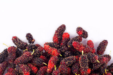 ripe mulberry fruit   is a sweet and sour fruit on white background healthy mulberry fruit food...