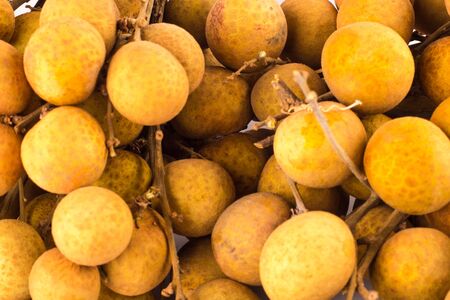 Close up fresh Longan or Dimocarpus longan, Thailand Tropical fruit  on white background fruit agriculture food isolatedの写真素材