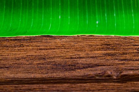 green banana leaves and brown wood on natural detail wallpaper texture backgroundの写真素材
