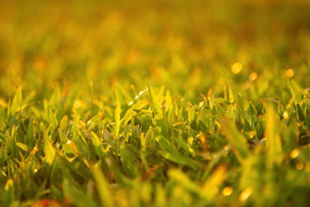 Small glass with bokeh of sunlight in the background.の写真素材