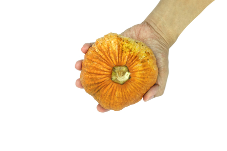 Hand holding small asian yellow pumpkin on white background. Object top viewの写真素材