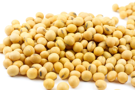 Small Yellow Soybean on white backgroundの写真素材