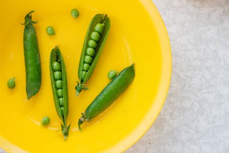 green pea pods on a yellow plateの写真素材