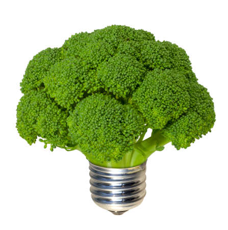 lightbulb made of green broccoli. isolated on whiteの写真素材