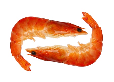 two shrimp isolated on white backgroundの写真素材