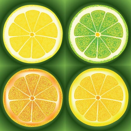 Set of citrus fruit - lemon, orange, grapefruit and limeのイラスト素材