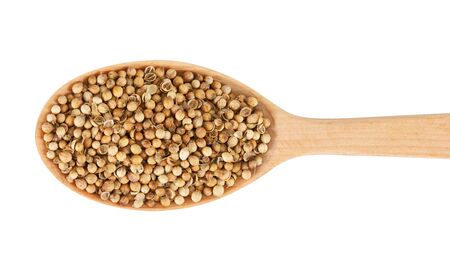 Coriander seeds on wooden spoon. isolated on a white backgroundの写真素材