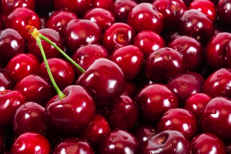 Background of ripe cherriesの写真素材