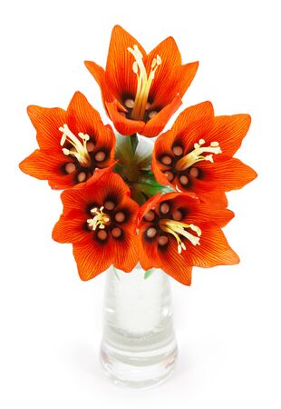 Flower - imperial fritillary in a vase. isolated on white backgroundの写真素材