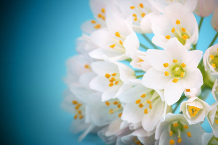 White flowers on a blue background