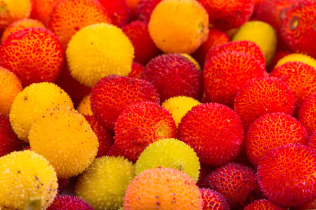 Yellow and red fruits of Arbutus unedo.の写真素材