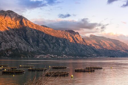 Big Cages for fish farming in Montenegroの写真素材