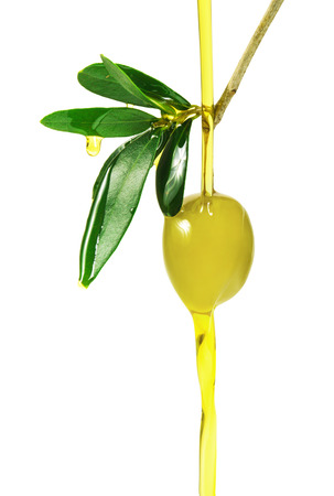 Olive branch with green olives. Isolated on white backgroundの写真素材