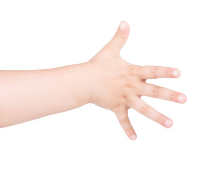 Child's hand showing gesture. The child's hand is open and showing five. Isolated on white...