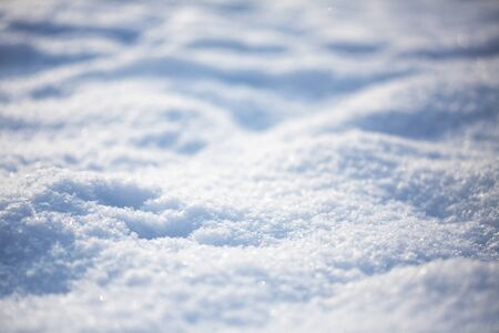Winter christmas background. Snowflakes in the soft white snow. Winter background.の写真素材