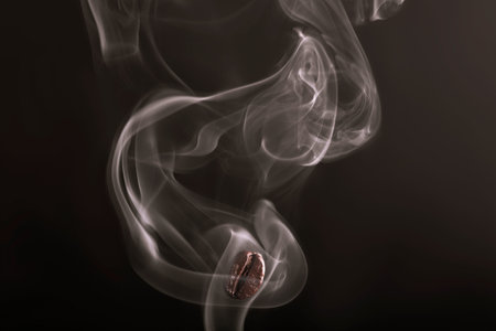 Roasted coffee bean. Seed of freshly roasted coffee with smoke. Coffee bean closeup with emphasis on the grain with smoke.の写真素材