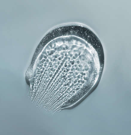 Transparent gel with bubbles close-up. Smear of face gel cream. The texture of gel cream. A sample of a cosmetic product. Antibacterial gel.の写真素材