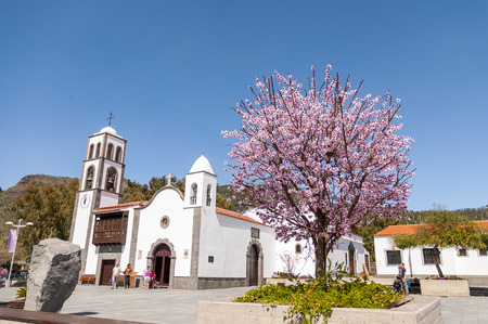 Main square of the city Santiago del Teide and almond tree. Tenerife. Canary Islands. Spainのeditorial素材