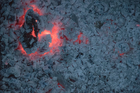 Big cracked piece of smoldering firewood log with red flame inside and gray ashes background. Burnt...