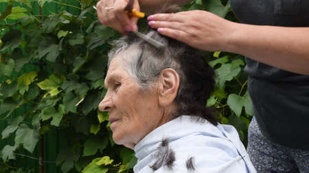 Senior woman profile portrait while cutting her hair at home in backyard outdoor. Blurred female hands combing gray hair of 80 years old woman. Wrinkled face of old ladyの写真素材