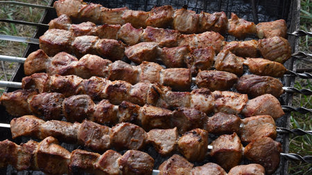 Barbecue grilled meat pieces on skewers at charcoal grill. Picnic food cooking outdoor. Roasted pork...